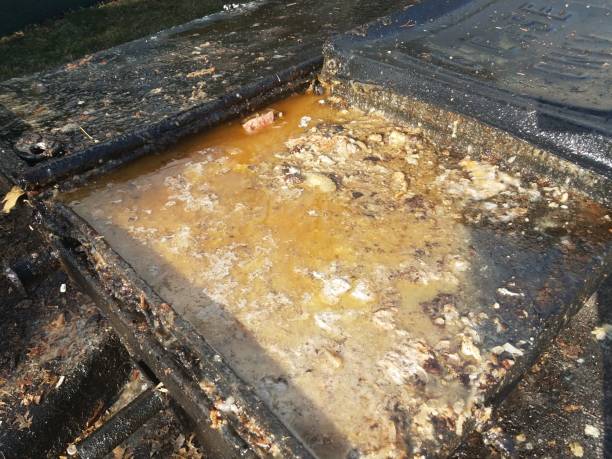 disgusting grease and juices overflowing from grease trap