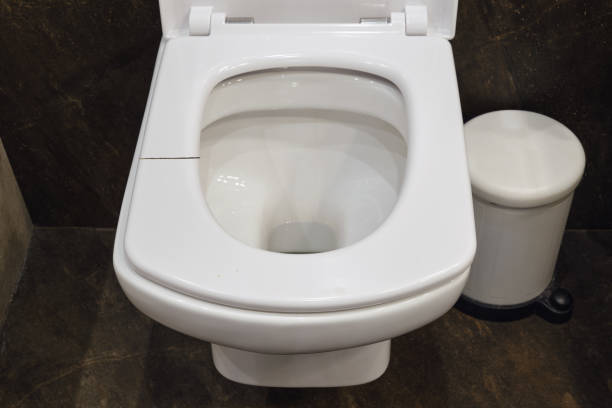 Cracked white toilet seat. A broken seat in the home toilet.